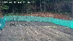 kannonmori-20250402134018.jpg