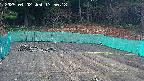 kannonmori-20250402135019.jpg