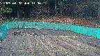 kannonmori-20250402140018.jpg