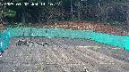 kannonmori-20250402141018.jpg