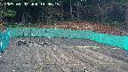 kannonmori-20250402143016.jpg