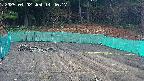 kannonmori-20250402144018.jpg