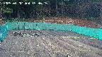 kannonmori-20250402153016.jpg
