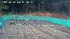 kannonmori-20250402154016.jpg
