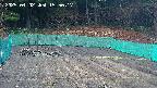 kannonmori-20250402155018.jpg