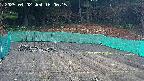 kannonmori-20250402160017.jpg