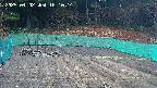 kannonmori-20250402161017.jpg