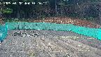 kannonmori-20250402162019.jpg