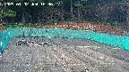 kannonmori-20250402163020.jpg