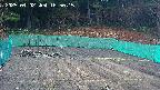 kannonmori-20250402165017.jpg