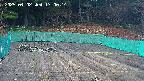 kannonmori-20250402170016.jpg