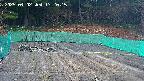 kannonmori-20250402172017.jpg