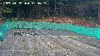 kannonmori-20250402173018.jpg