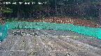kannonmori-20250402174017.jpg