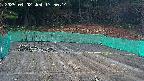 kannonmori-20250402175016.jpg