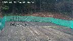 kannonmori-20250403053017.jpg