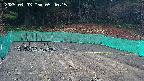 kannonmori-20250403054017.jpg