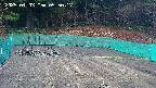kannonmori-20250403055020.jpg