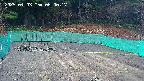 kannonmori-20250403060019.jpg