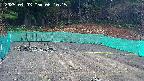 kannonmori-20250403061017.jpg