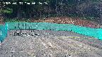 kannonmori-20250403062017.jpg