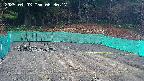 kannonmori-20250403063019.jpg