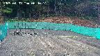 kannonmori-20250403064016.jpg