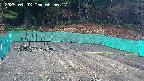kannonmori-20250403065019.jpg