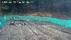 kannonmori-20250403070016.jpg