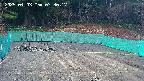 kannonmori-20250403073019.jpg