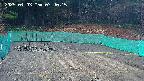kannonmori-20250403074017.jpg