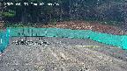 kannonmori-20250403075018.jpg