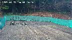 kannonmori-20250403081018.jpg