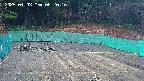 kannonmori-20250403082018.jpg