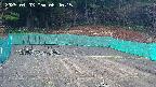 kannonmori-20250403084016.jpg