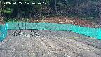 kannonmori-20250403085018.jpg