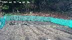 kannonmori-20250403090016.jpg