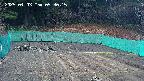 kannonmori-20250403093017.jpg