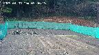 kannonmori-20250403094017.jpg