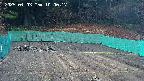 kannonmori-20250403100019.jpg