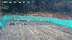 kannonmori-20250403101019.jpg