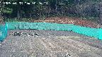 kannonmori-20250403102015.jpg