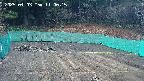 kannonmori-20250403110017.jpg