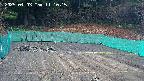 kannonmori-20250403111018.jpg