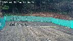 kannonmori-20250403114017.jpg