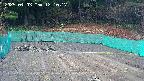 kannonmori-20250403121019.jpg