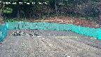 kannonmori-20250403122017.jpg