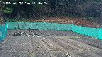 kannonmori-20250403123017.jpg