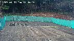 kannonmori-20250403124017.jpg