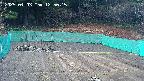 kannonmori-20250403125017.jpg